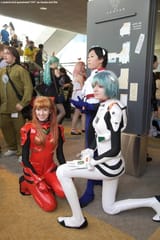 lulubird and ayareinami