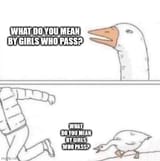 9nzjq2