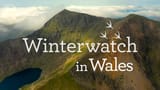 Winterwatch-in-Wales-2025-Cover