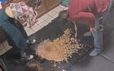 Thread 1359946 OP Image