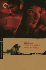 TheCranesAreFlying