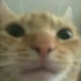 635757345737