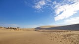 Jockey&#039;s Ridge