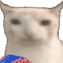 1690924093462265