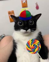 IMG_0572
