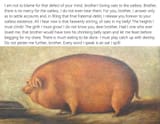 pig 2