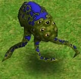 Argus