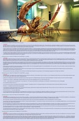 CuckoldedLobster