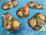 Pox Terrain