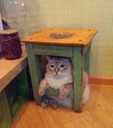 your self-made prison