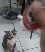 1738424964233451