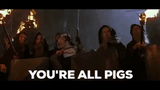 pigs