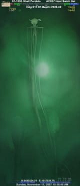 1613966316907