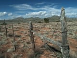 do-fence