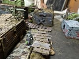 IMG_9779