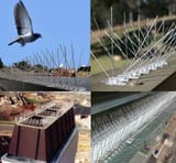birdx_guard_system_03