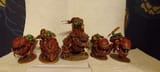 squig riders