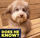 Does he know