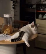 scandalous