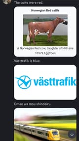 Screenshot_20250610_163015_Discord