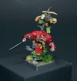 Chieftan