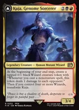 fin-232-kuja-genome-sorcerer