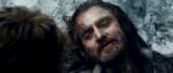 do you think bilbo raped the body afterwards