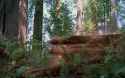 Return.Of.The.Jedi.1983.Despecialized.720p.x264.AC3.5.1-3_thumb.jpg