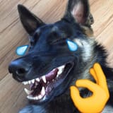 dogLaugh