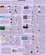 Ultimate Elemental Wizards
