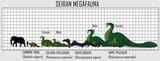 Seiran Megafauna