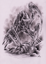 megarachnid_