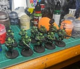 salmander LA wip