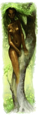 Dryad