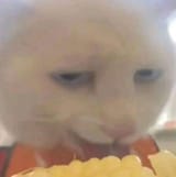1731518893607929
