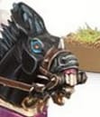 dumbrider