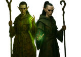 Druids of the Ashen Circle