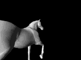 4d horse