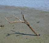 stick