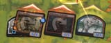 healthy format healthy game