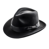 pngtree-high-quality-fedora-hat-featuring-a-glossy-leather-band-png-image_15169672[1]