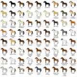 Horse colors