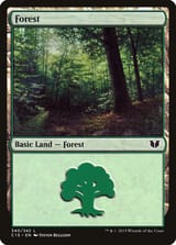 c15-340-forest