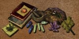 Morrowind_Witchhunter_Class