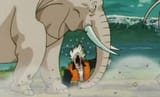elephant scaling