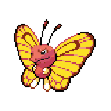 buttermeleon