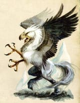 Warhammer_Hippogryph_SoM