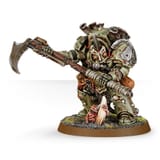 Typhus