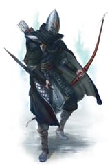 high elf shadow warrior