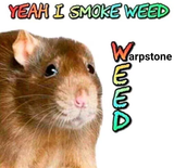 1607991900386